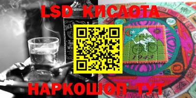 крисы Дубна