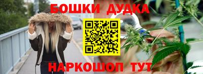 крисы Дубна